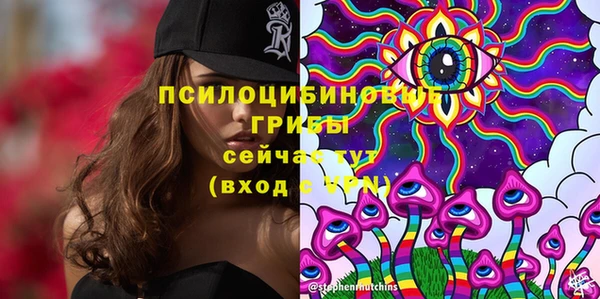 Альфа ПВП Аркадак