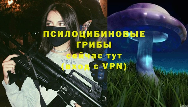 Альфа ПВП Аркадак