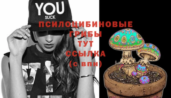 ПСИЛОЦИБИНОВЫЕ ГРИБЫ Армянск