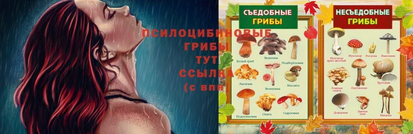 apvp Арсеньев